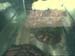 felixcam-1