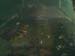 felixcam-2
