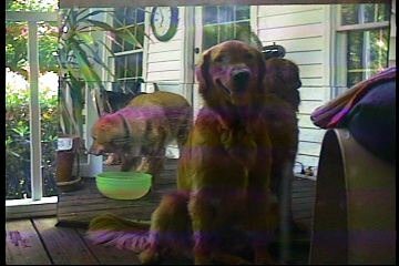 bailey-20