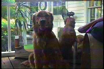 bailey-25