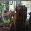 bailey-20