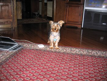 IMG_0010