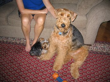 IMG_0021
